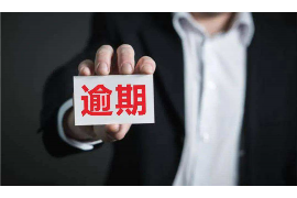 漳县企业清欠服务