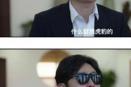 漳县贷款清欠服务